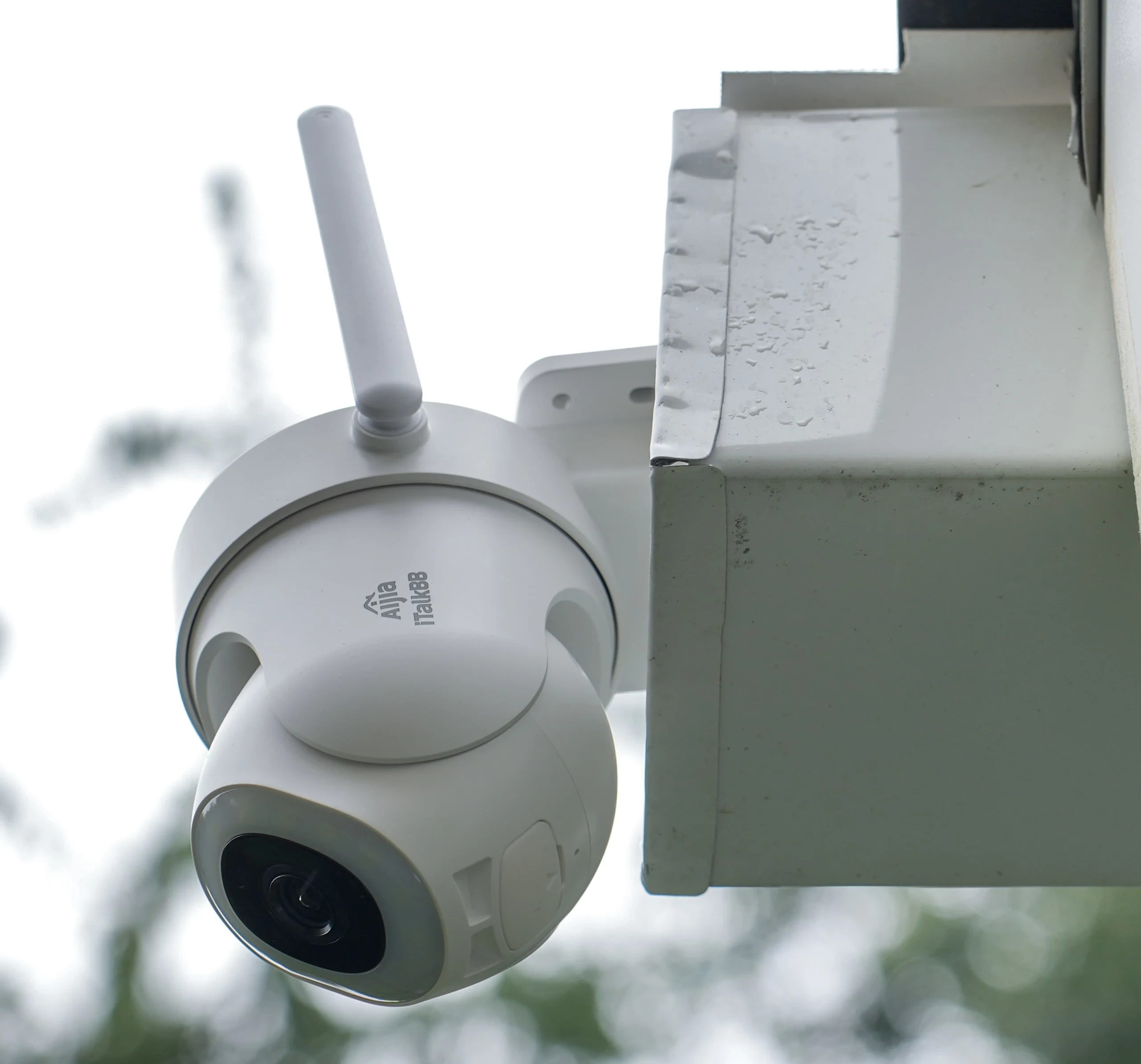  iTalkBB Aljia 实际产品图